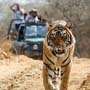jim corbett tour package