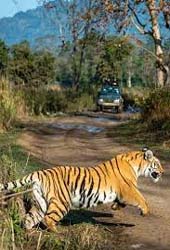 Corbett taxi service